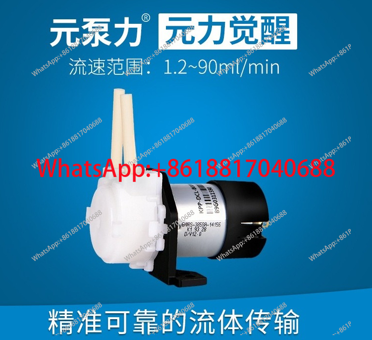 KPP-DC/DA-B08W 12v 24v DC 모터 소 - Mini Peristaltic Pump 12V 리뷰 및 가격